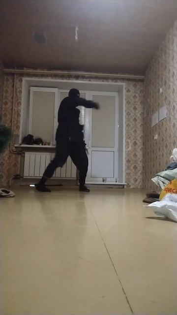 Северный ниндзя: Крыло Ворона (04.03.2024) 北の忍者: レイヴン・? смотреть онлайн