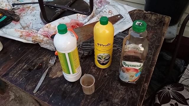 Обрабатываем солому, которой замульчировали картофель.
