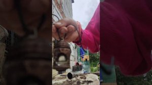 Тайные снадобья зеленоградских хуторов....