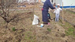 Земля не должна быть голой. Сеем горчицу.