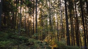 Саунд проникает в душу быстрее любого ветра - Hanging Out + Hangovers -- SUPERARE -- II