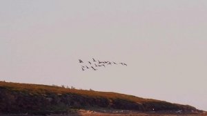 Наш июнь 2025. Гора Лисья и Белое море