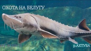 РУССКАЯ РЫБАЛКА 4. ДЛЯ САМЫХ ТЕРПЕЛИВЫХ.