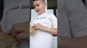 кто такие трилобиты?