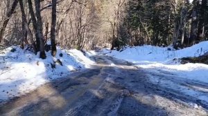 Домбай По дороге к водопаду Алибек
