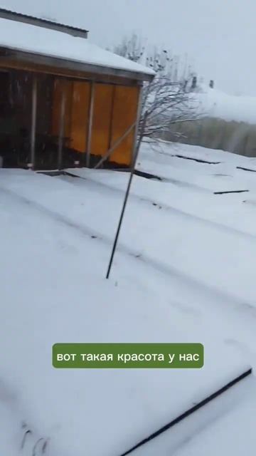 После +30 идет снег. #огород #дача #природноеземледелие