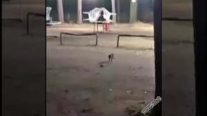 ДАВАЙ ПОПРИКАЛЫВАЕМСЯ))))