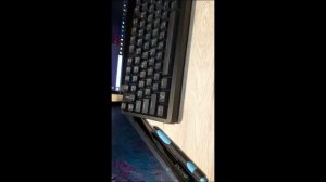 ОБЗОР КЛАВЫ ОТ АРДОР // ARDOR GAMING MAUL