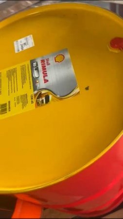 Shell Rimula R6 M 10W-40 / 209 л