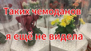 Умный чемодан!! Таких  я ещё не видела. М-н Окей