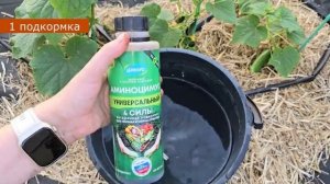 4 УДИВИТЕЛЬНЫХ ТАБЛЕТКИ И ОГУРЦЫ, КОТОРЫЕ ЗАБЕЖАТ В БЕШЕНЫЙ РОСТ! УзнайТЕ, Как Даже ЧАХЛЫЕ РАСТЕН...