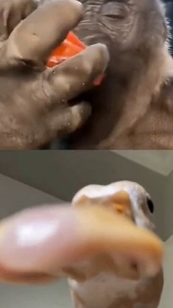 когда созвонился с другом🤣
