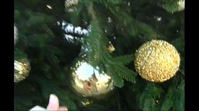 Видеокамера Panasonic NV-RX1 смотреть онлайн