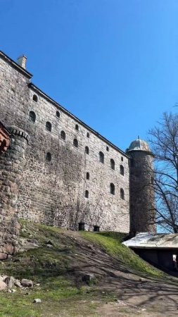 СКОЛЬКО СТОИТ ПОЕХАТЬ В ВЫБОРГ #путешествия #travel #выборг #спб #влог #vyborg #кудапоехать