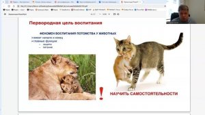 О воспитании в среднем профессиональном образовании