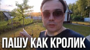 Снова кошу траву… Почему дача — это бесконечная борьба?