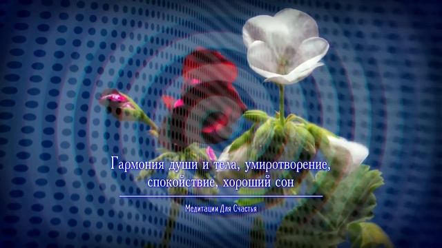 ГАРМОНИЯ ДУШИ и ТЕЛА, УМИРОТВОРЕНИЕ, СПОКОЙСТВИЕ, ХОРОШИЙ СОН*МЕДИТАЦИЯ+САБЛИМИНАЛ