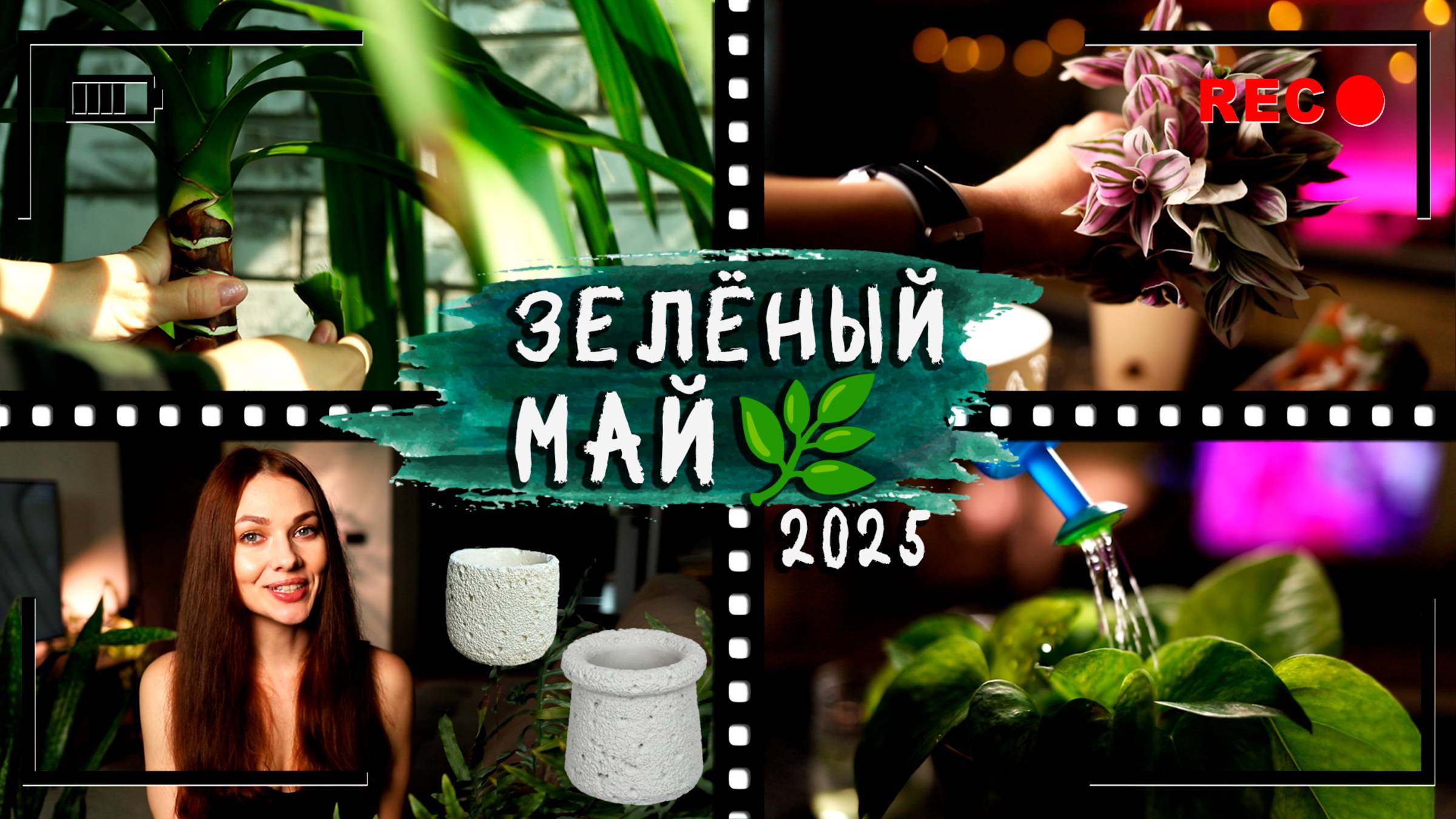 Мой [ЗЕЛЁНЫЙ МАЙ] 2025⏭️Омоложение традесканции, обдираю юкку, сажаю черенки, новый горшочек!