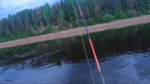 Судак, встреча с бобром