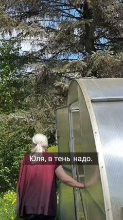 🌱 Дачные хлопоты под Киржачом: рассада, инструкции от мамы и почти Уимблдон на газоне 🌿