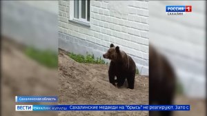 "Вести. Сахалин. Курилы". 9 июня 2025 года