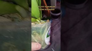 обзор ещё партии новинок