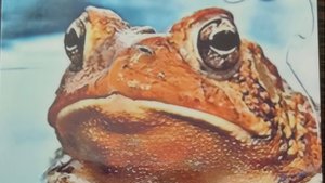 ОНА ВАМ ВРЕДИЛА И ЧТО ОТХВАТИЛА, СОПЕРНИЦА #shortvideo #бумеранг #таро #шортс  #tarot #shortsvideo #