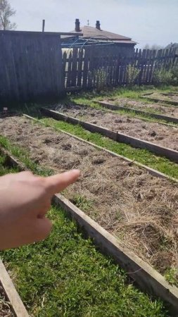 Зачем нужна трава на дорожках. #огород #грядки