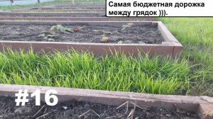 Дорожки между грядок.