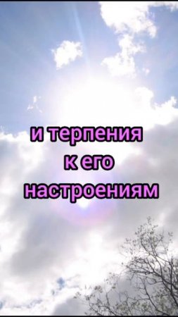 Силы не прошу