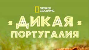 Дикая Португалия / Wild Portugal | NAT Geo