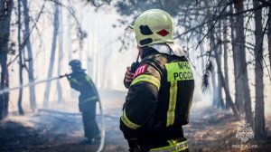 В Севастополе на Камышовом шоссе произошел природный пожар