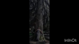 Мы снова в Кисловодске.mp4