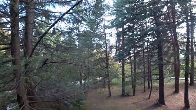 Сочи. Дача Сталина, обзор. смотреть онлайн