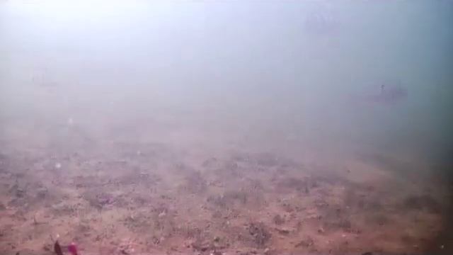 8 апреля 2025 г. смотреть онлайн