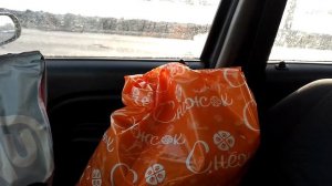 везём корм животным на дачный массив тургеневка. спасибо тем, кто прислал денежки на покупку корма.
