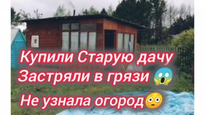 Купили старую дачу. Застряли в грязи 😱 Не узнала огород