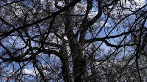 Удачный коп на урочище