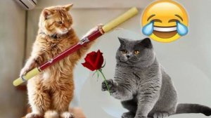 САМЫЕ СМЕШНЫЕ видео с животными,😸🐺 собаками и кошками, которые мгновенно сделают ваш день лучше!