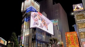 Путешествие в Японию. Дзодзёдзи,  Токийская башня, 3D Ко