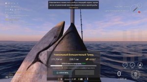 fishing planet кайро-нори уникальный большеглазый тунец