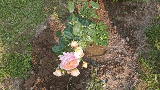 Получать подарки всегда приятно, даже без повода.