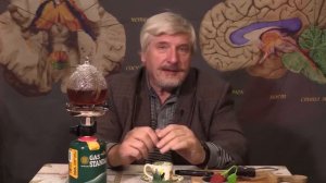 Какую пищу любит мозг