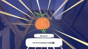 Little Kitty, Big City