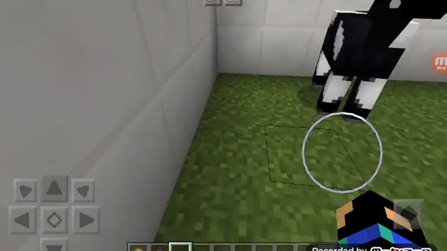 Как сделать чтоб лошадь родила в майнкрафте пе смотреть онлайн