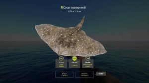 Русская рыбалка 4 - Вечерний стрим. Покоряя морские просторы.