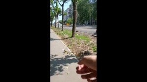 Путь домой ч. 5 с Путь студента до вуза