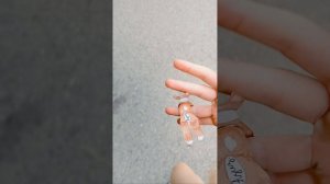 вечерняя прогулка с бумажной собакой Азазам❤️и фоточки-анонсы в начале видео❤️🐎🦭🦆🐓🦡🌸🌸🌸