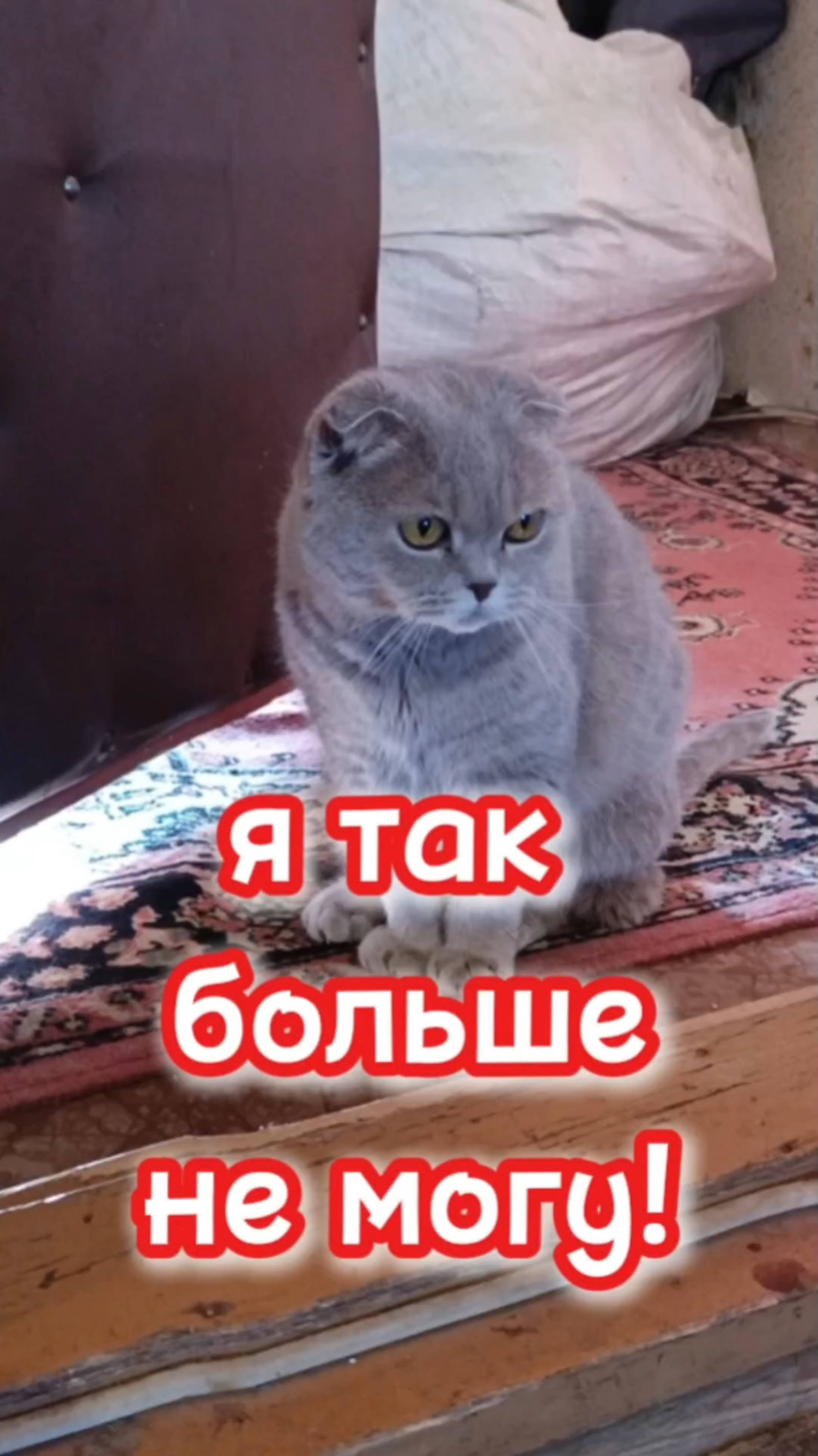 Я так больше не могу! 😁