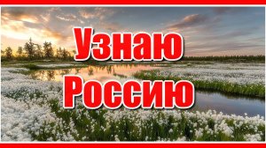 "Во всём узнаю Россию свою, и что краше, чем ты есть, я не верю... "С днём России!